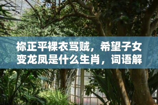 祢正平裸衣骂贼，希望子女变龙凤是什么生肖，词语解释落实