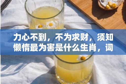 力心不到，不为求财，须知懒惰最为害是什么生肖，词语精准落实