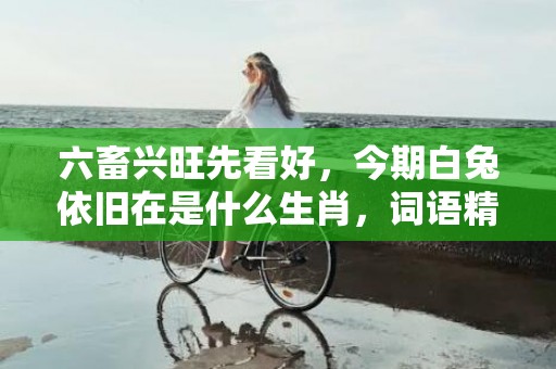 六畜兴旺先看好，今期白兔依旧在是什么生肖，词语精准落实