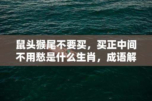 鼠头猴尾不要买，买正中间不用愁是什么生肖，成语解答落实