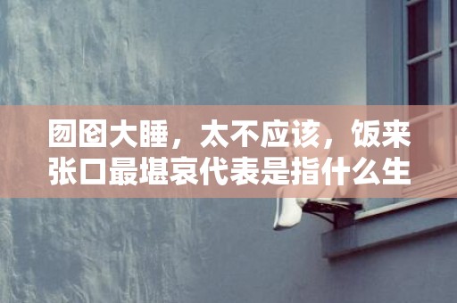 囫囵大睡，太不应该，饭来张口最堪哀代表是指什么生肖，经典解答落实