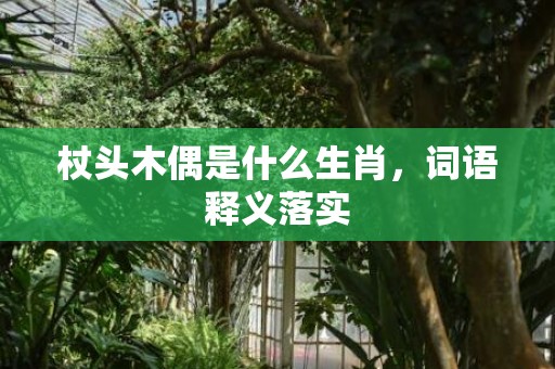 杖头木偶是什么生肖，词语释义落实