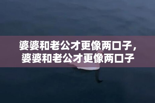 婆婆和老公才更像两口子，婆婆和老公才更像两口子