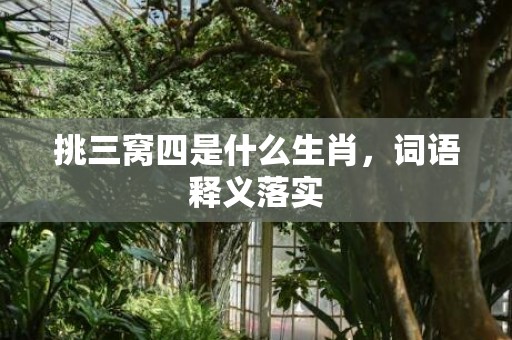 挑三窝四是什么生肖，词语释义落实