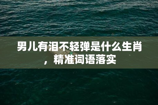 男儿有泪不轻弹是什么生肖，精准词语落实