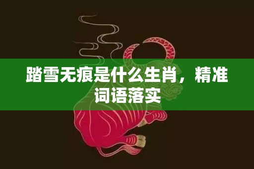 踏雪无痕是什么生肖，精准词语落实