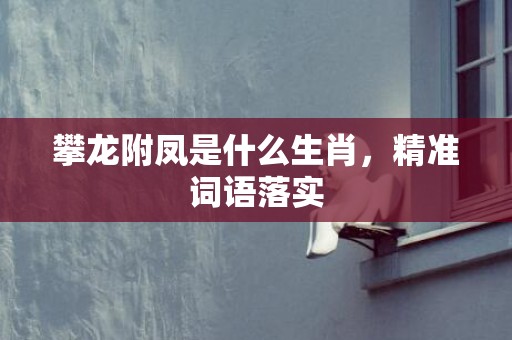 攀龙附凤是什么生肖，精准词语落实