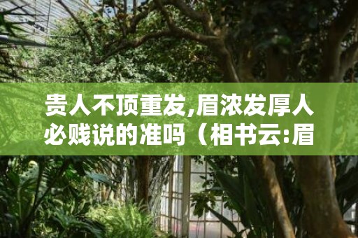 贵人不顶重发,眉浓发厚人必贱说的准吗（相书云:眉浓发厚人必贱贵人不顶重发,眉浓发厚人必贱说的...）