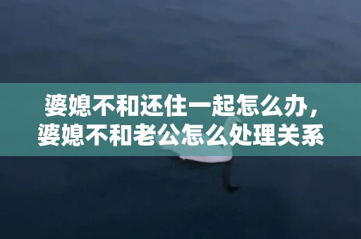 婆媳不和还住一起怎么办，婆媳不和老公怎么处理关系