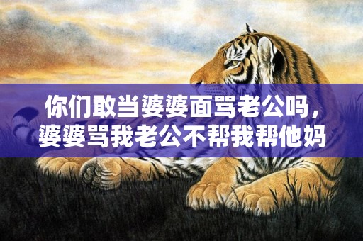 你们敢当婆婆面骂老公吗，婆婆骂我老公不帮我帮他妈