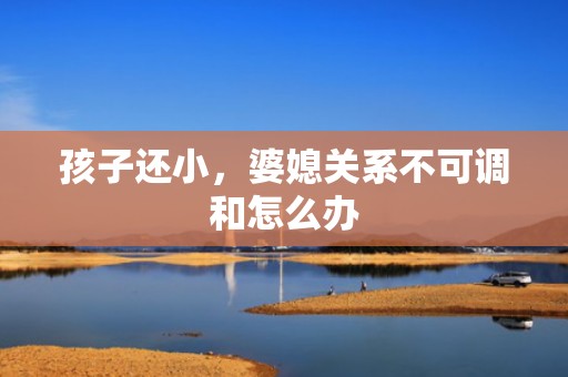 孩子还小，婆媳关系不可调和怎么办