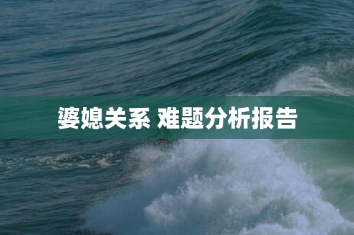 婆媳关系 难题分析报告
