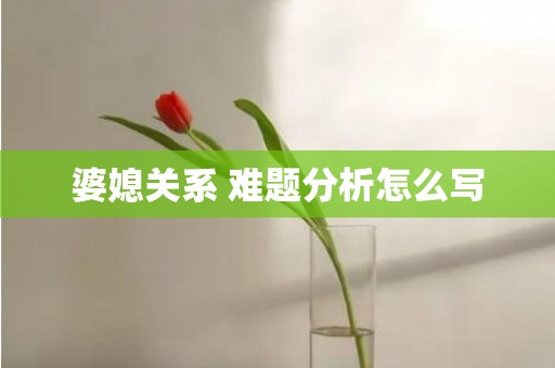 婆媳关系 难题分析怎么写