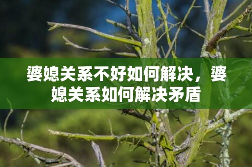 婆媳关系不好如何解决，婆媳关系如何解决矛盾