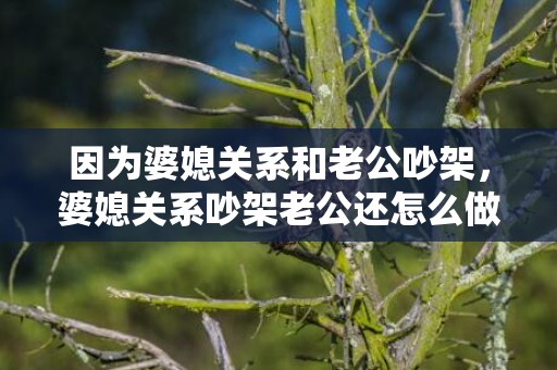 因为婆媳关系和老公吵架，婆媳关系吵架老公还怎么做