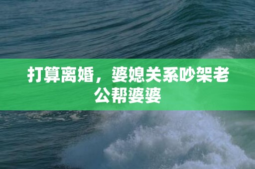 打算离婚，婆媳关系吵架老公帮婆婆