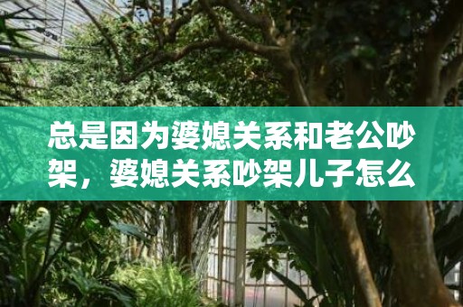 总是因为婆媳关系和老公吵架，婆媳关系吵架儿子怎么办