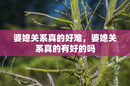 婆媳关系真的好难，婆媳关系真的有好的吗
