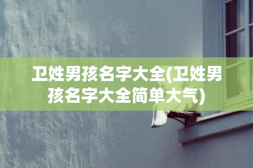 卫姓男孩名字大全(卫姓男孩名字大全简单大气)