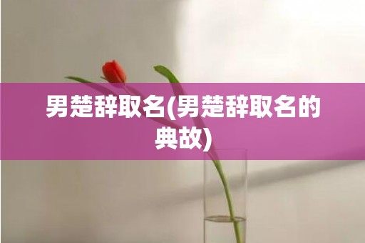 男楚辞取名(男楚辞取名的典故)