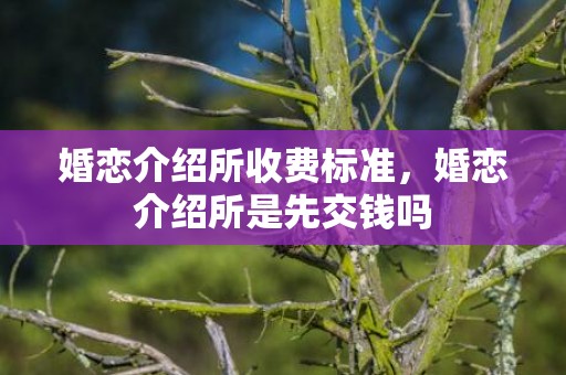 婚恋介绍所收费标准，婚恋介绍所是先交钱吗
