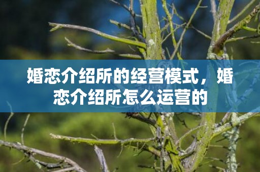 婚恋介绍所的经营模式，婚恋介绍所怎么运营的
