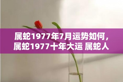 属蛇1977年7月运势如何，属蛇1977十年大运 属蛇人应该注意自己的健康