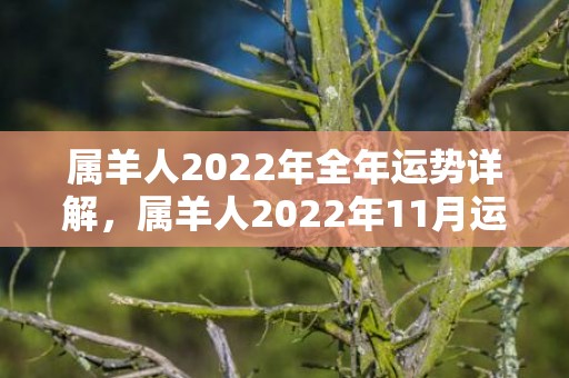 属羊人2022年全年运势详解，属羊人2022年11月运势运程完整版 事业发展越发低迷
