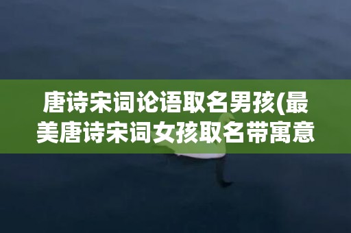 唐诗宋词论语取名男孩(最美唐诗宋词女孩取名带寓意)
