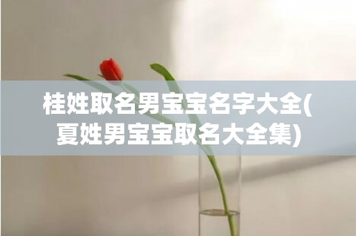桂姓取名男宝宝名字大全(夏姓男宝宝取名大全集)
