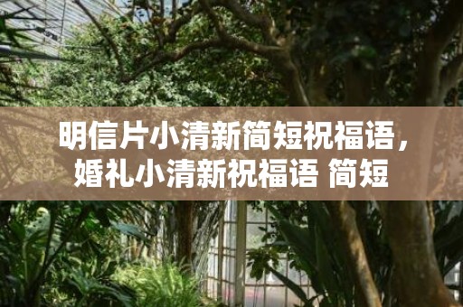 明信片小清新简短祝福语，婚礼小清新祝福语 简短