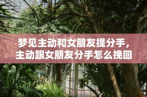 梦见主动和女朋友提分手，主动跟女朋友分手怎么挽回（主动跟女朋友分手怎么挽回她）