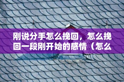 刚说分手怎么挽回，怎么挽回一段刚开始的感情（怎么挽回一段刚开始的感情经历）