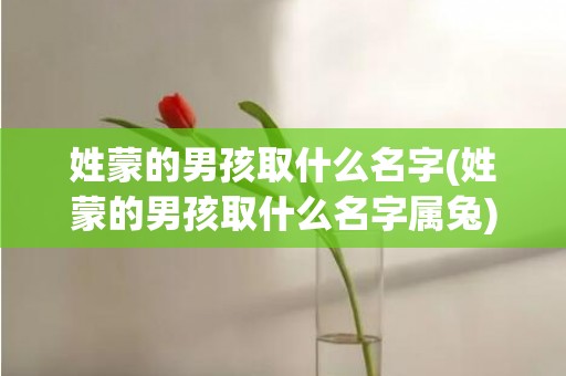 姓蒙的男孩取什么名字(姓蒙的男孩取什么名字属兔)