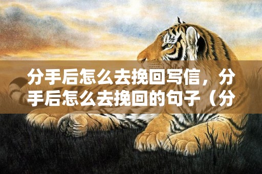 分手后怎么去挽回写信，分手后怎么去挽回的句子（分手后如何挽回的话）