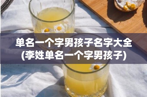 单名一个字男孩子名字大全(李姓单名一个字男孩子)