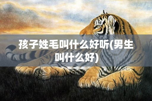 孩子姓毛叫什么好听(男生叫什么好)