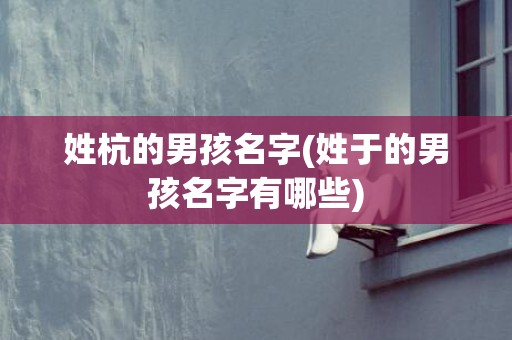 姓杭的男孩名字(姓于的男孩名字有哪些)