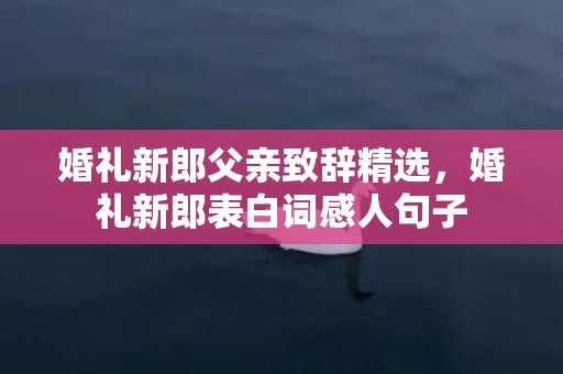 婚礼新郎父亲致辞精选，婚礼新郎表白词感人句子
