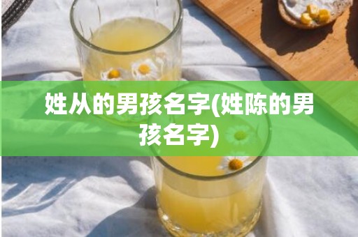 姓从的男孩名字(姓陈的男孩名字)