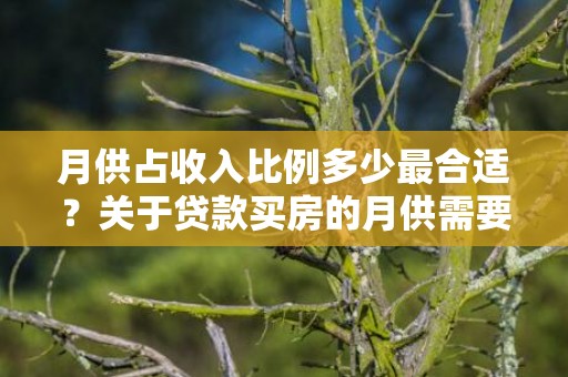 月供占收入比例多少最合适？关于贷款买房的月供需要注意哪些问题