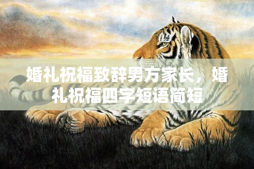 婚礼祝福致辞男方家长，婚礼祝福四字短语简短