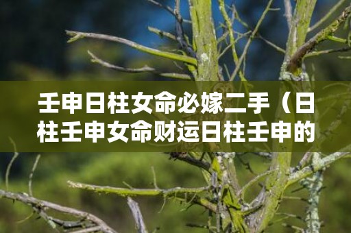 壬申日柱女命必嫁二手（日柱壬申女命财运日柱壬申的女人）