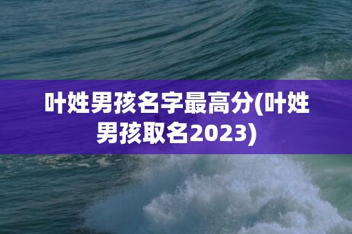 叶姓男孩名字最高分(叶姓男孩取名2023)