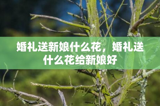 婚礼送新娘什么花，婚礼送什么花给新娘好