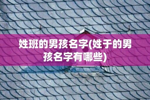 姓班的男孩名字(姓于的男孩名字有哪些)