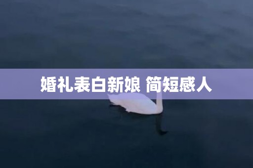 婚礼表白新娘 简短感人