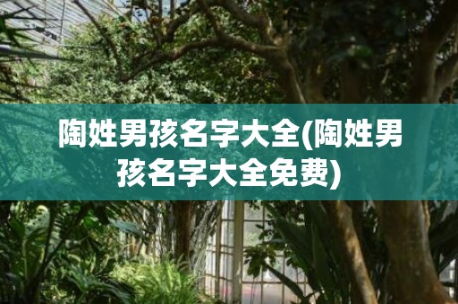 陶姓男孩名字大全(陶姓男孩名字大全免费)