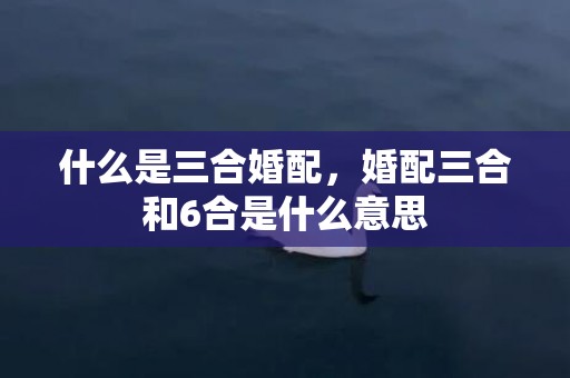 什么是三合婚配，婚配三合和6合是什么意思