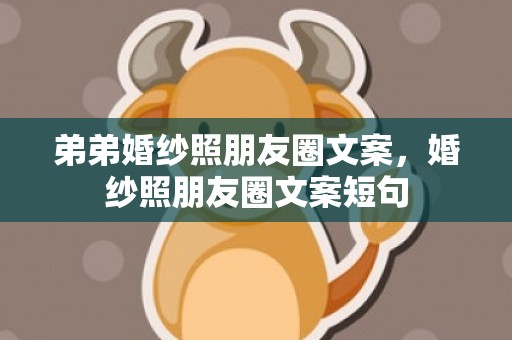 弟弟婚纱照朋友圈文案，婚纱照朋友圈文案短句